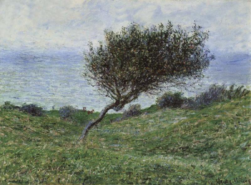 Claude Monet On the Coast at Trouville oil painting picture